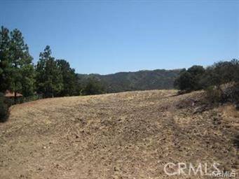Calabasas, CA 91302,22800 Mulholland