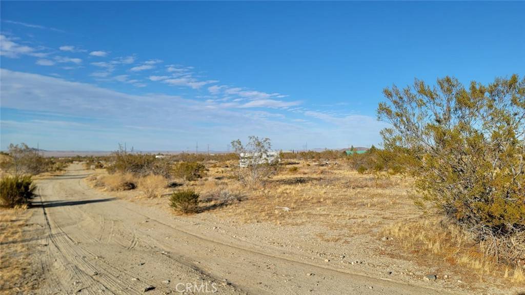 Llano, CA 93544,0 Ave W4 & 188th St E