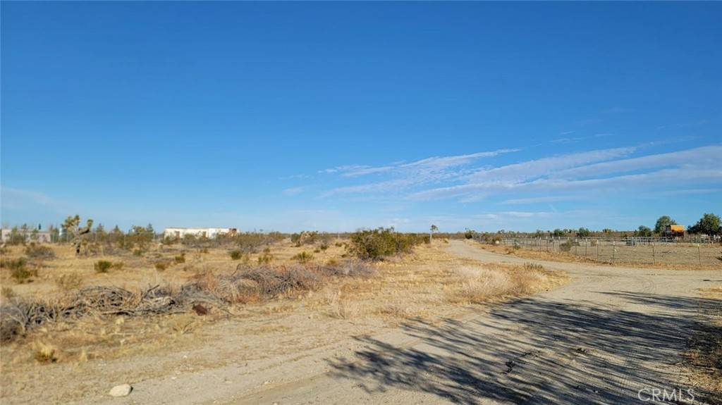 Llano, CA 93544,0 Ave W4 & 188th St E
