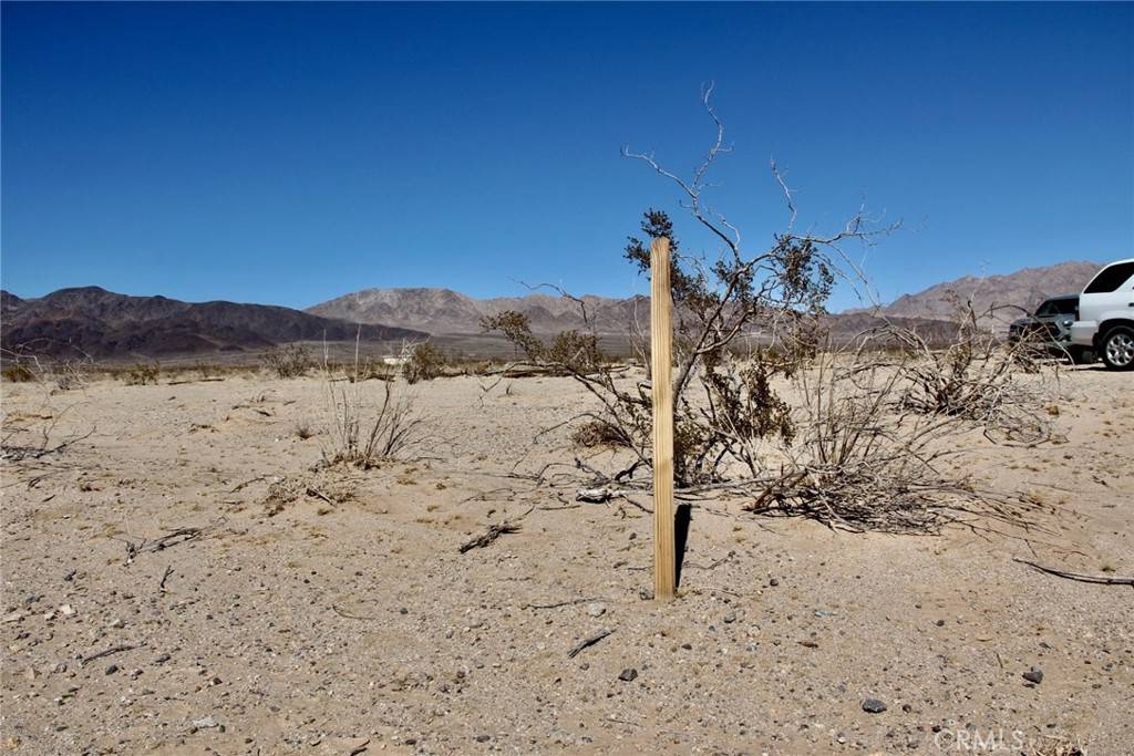 29 Palms, CA 92277,0 Eddie Albert RD