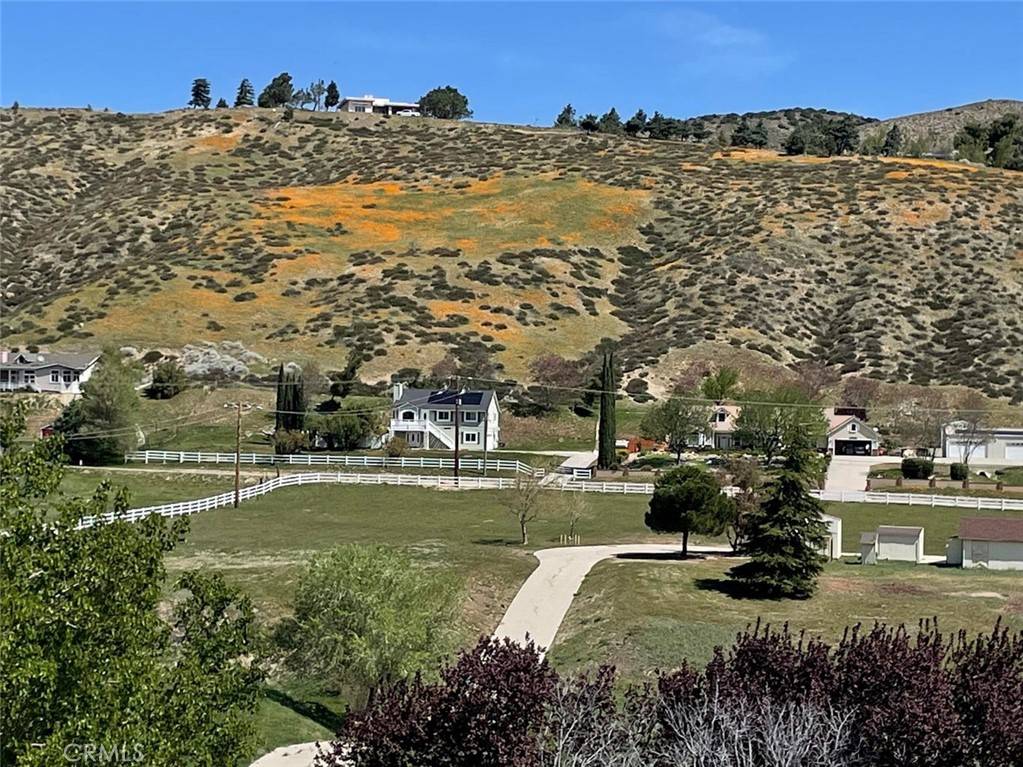 Leona Valley, CA 93551,9250 Elizabeth Lake RD