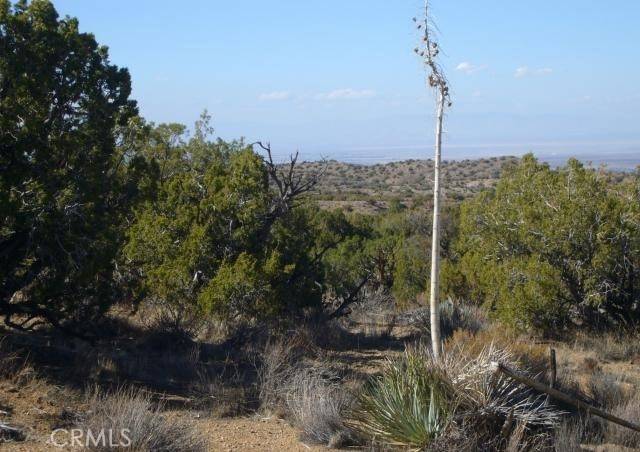 Juniper Hills, CA 93543,1 E Avenue Z2/118 Ste