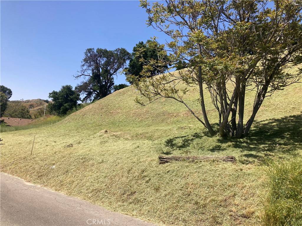 Val Verde, CA 91384,15 Driver AVE