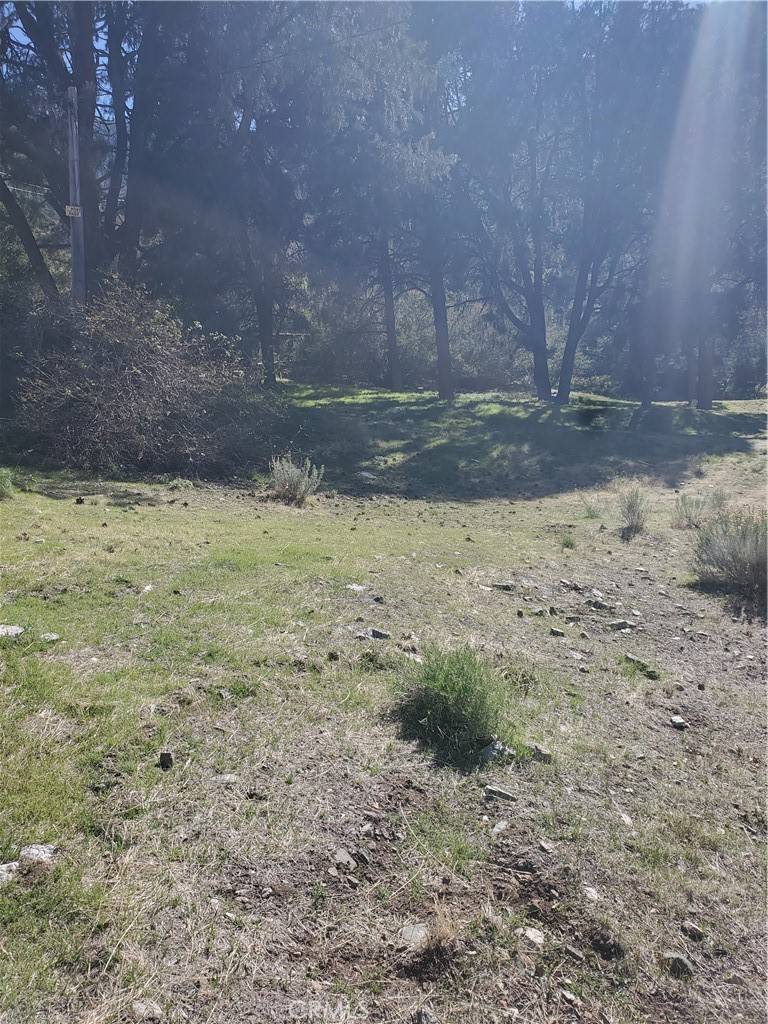 Frazier Park, CA 93225,237 Pine Canyon DR