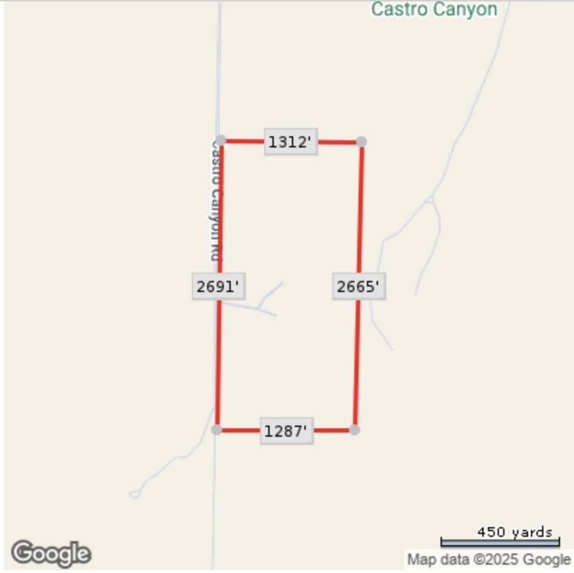 Cuyama, CA 93254,125 Castro Canyon RD