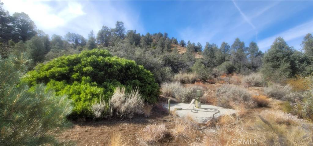 Frazier Park, CA 93225,32897 Seymour Canyon RD