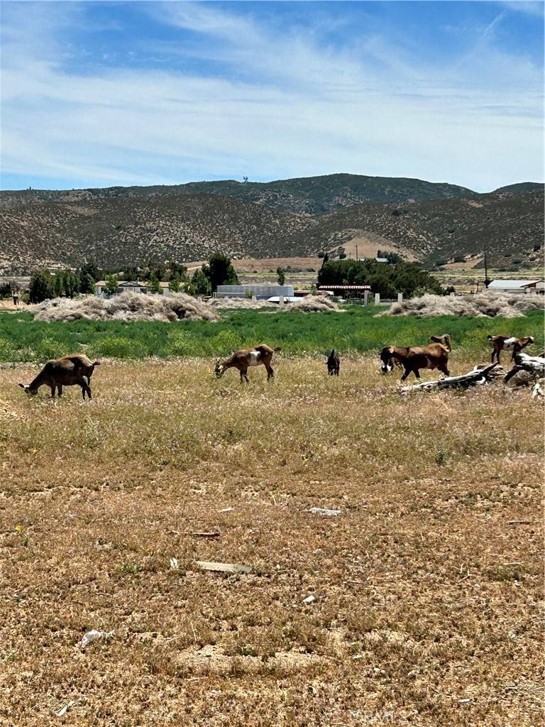 Lancaster, CA 93536,23665 W Avenue D12