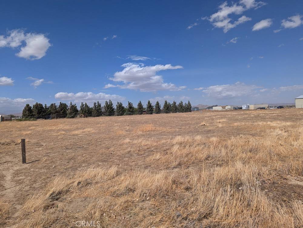 Rosamond, CA 93560,0 Cypress Avenue