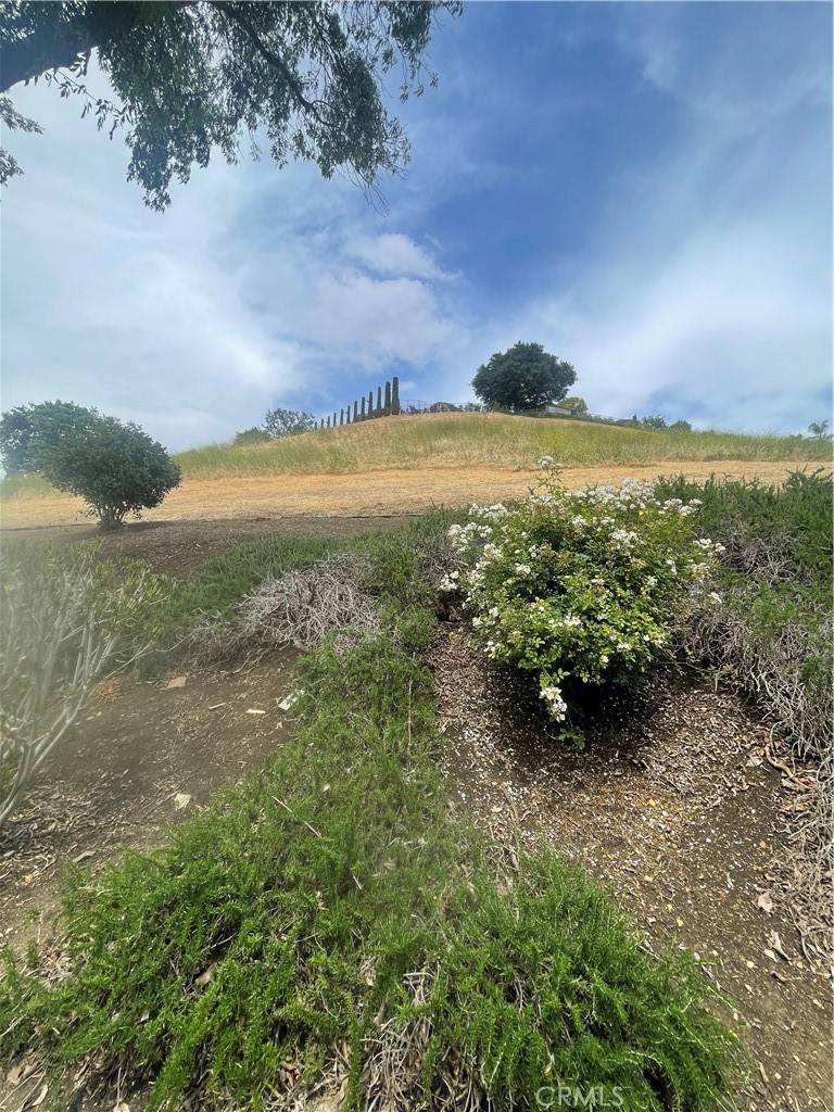Agoura Hills, CA 91301,5800 Kanan RD #273