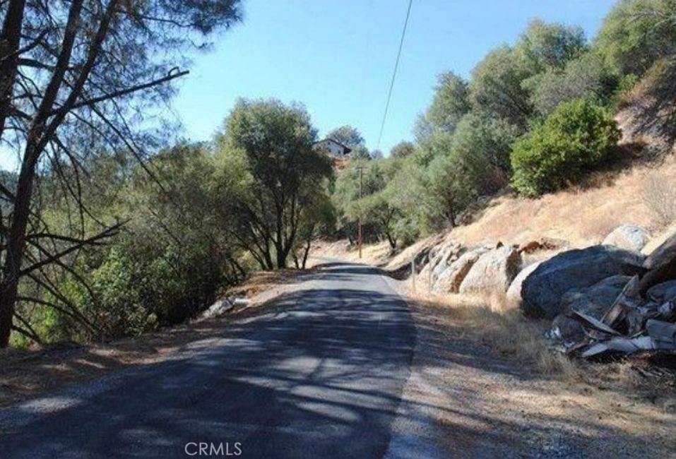 Angels Camp, CA 95222,3425 Paint RD