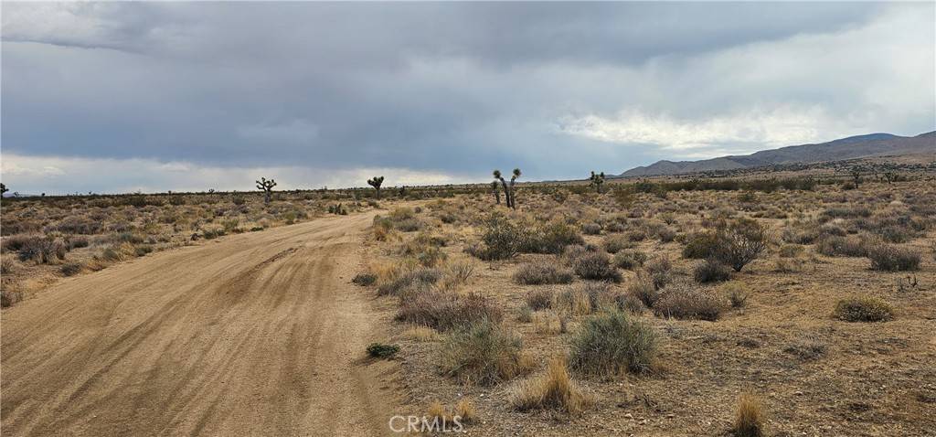 Rosamond, CA 93505,0 116th ST W