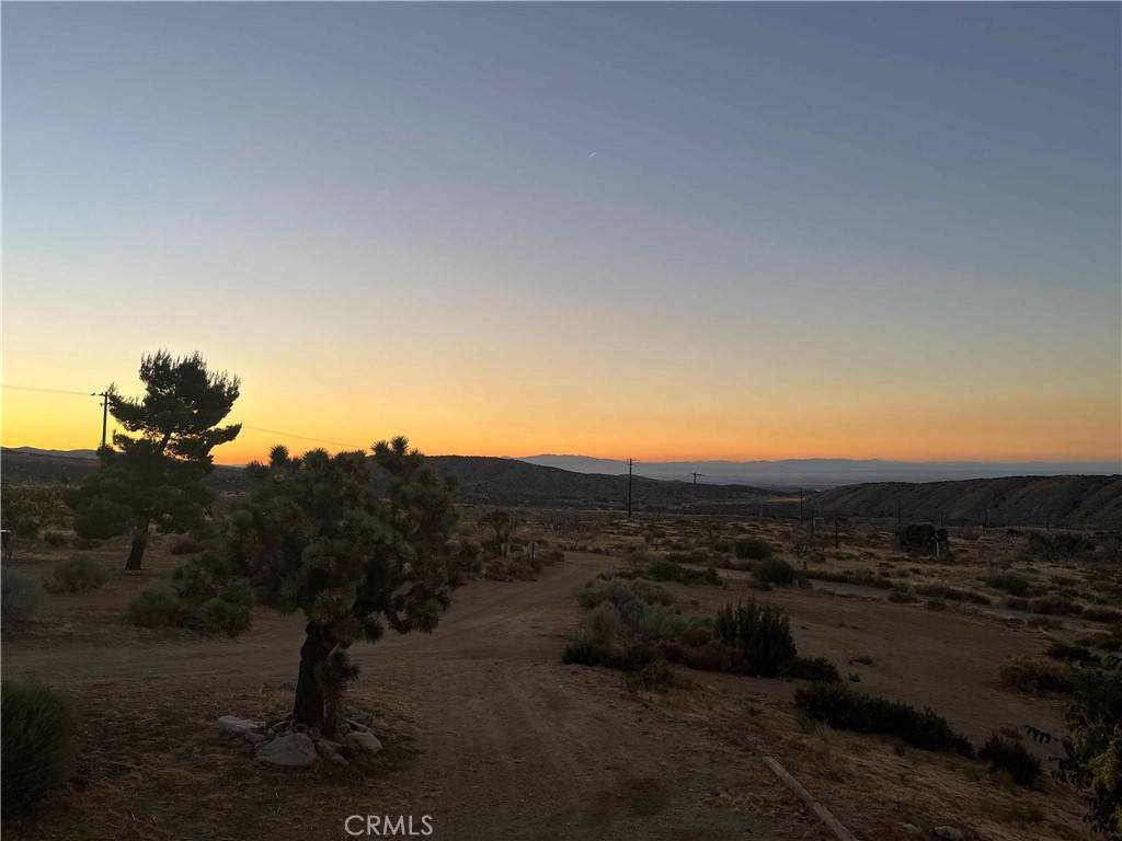 Pearblossom, CA 93553,28714 Cruthers Creek RD