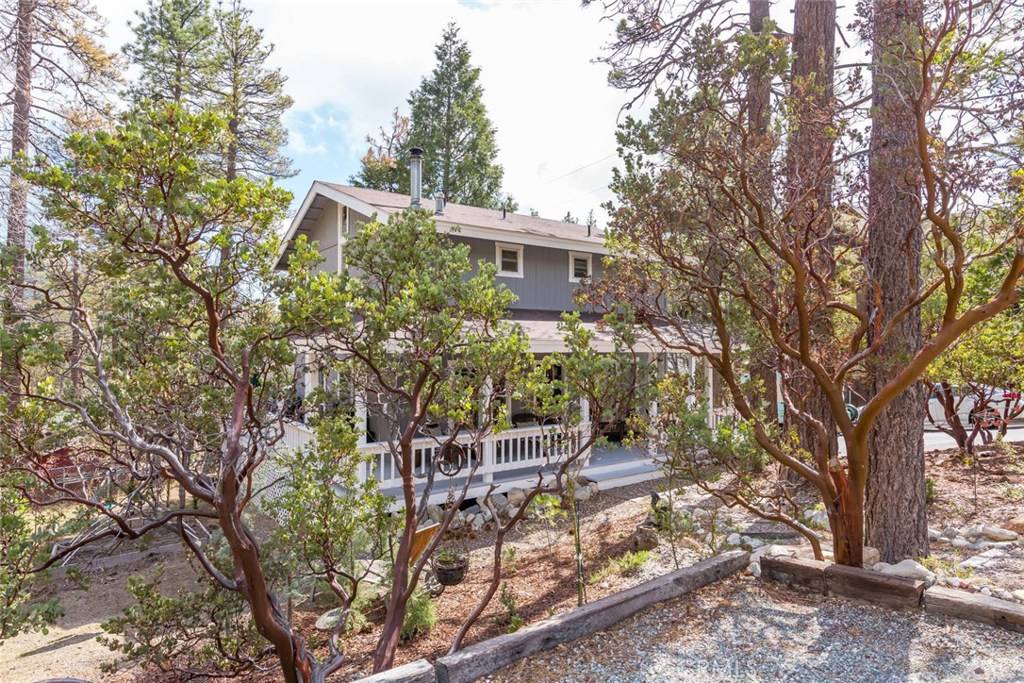 Idyllwild, CA 92549,54755 Jameson RD