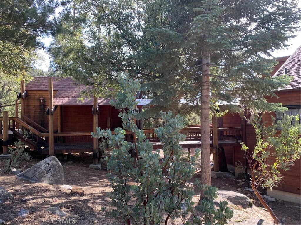 Idyllwild, CA 92549,25485 Glen RD