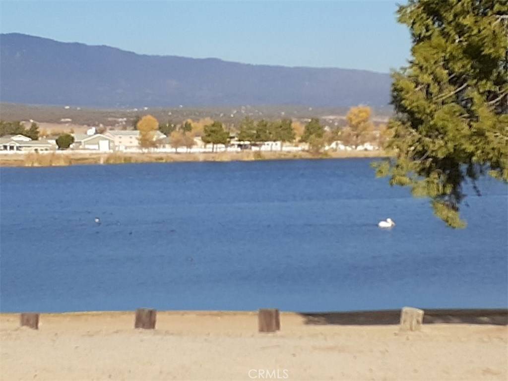 Aguanga, CA 92536,0 Tumbelweed