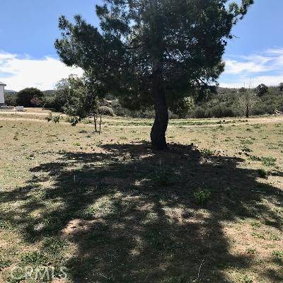 Anza, CA 92539,39040 Fugatt CT