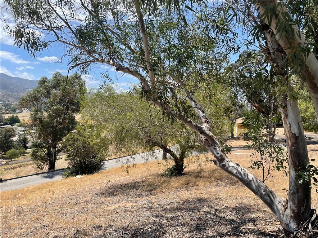 Lake Elsinore, CA 92530,15 Bailey DR