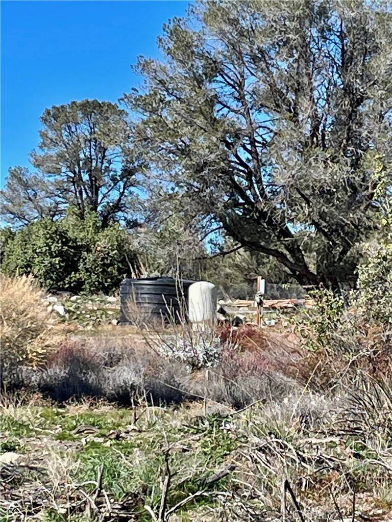 Anza, CA 92539,57850 Forestry RD