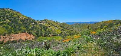 Lake Elsinore, CA 92532,13 Washburn Road