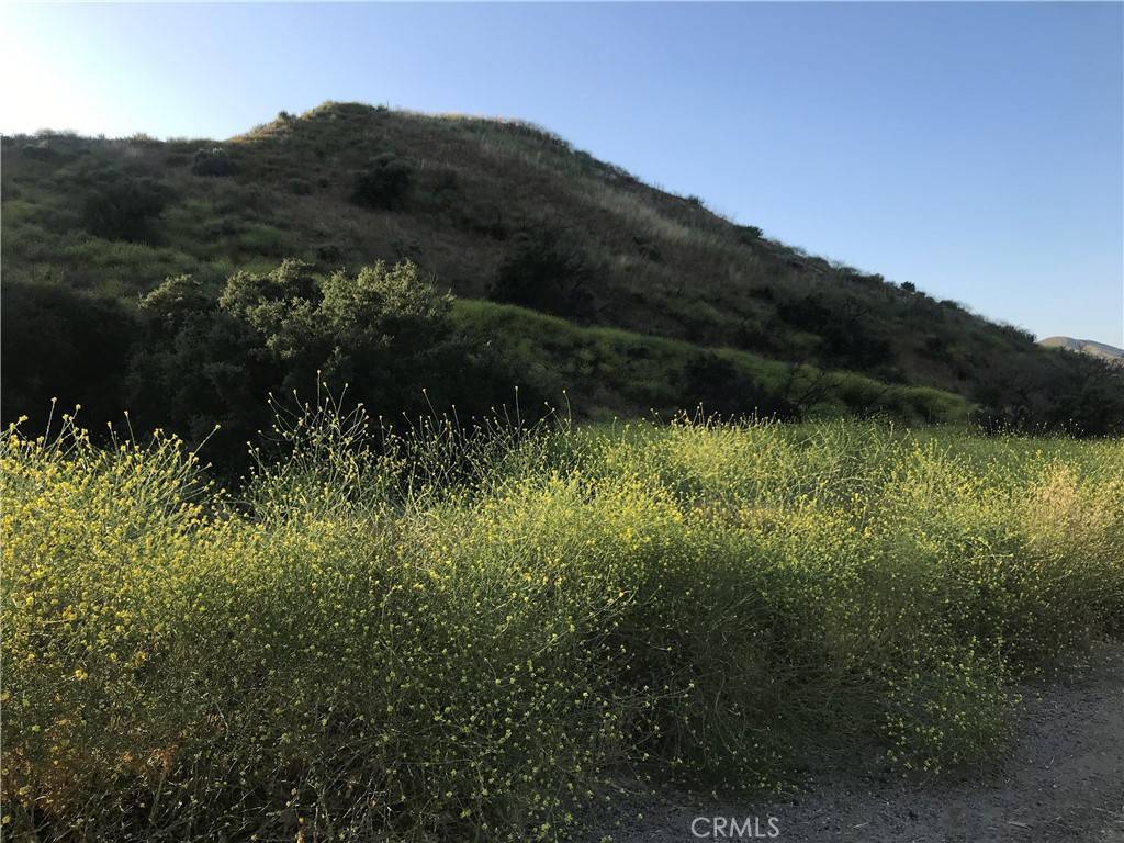 Canyon Country, CA 91351,0 Vasquez Canyon RD