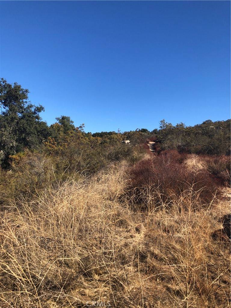 Hemet, CA 92544,3 Red Mountaain RD