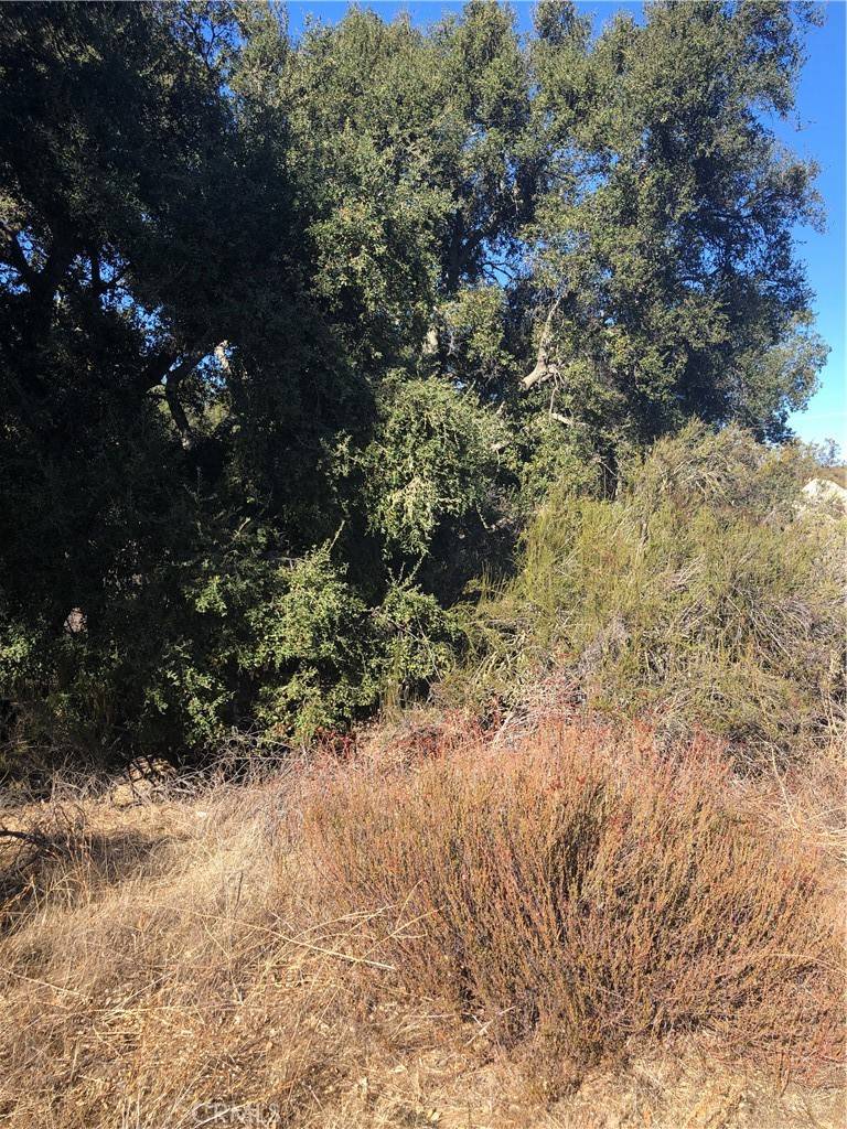 Hemet, CA 92544,4 Red Mountain RD