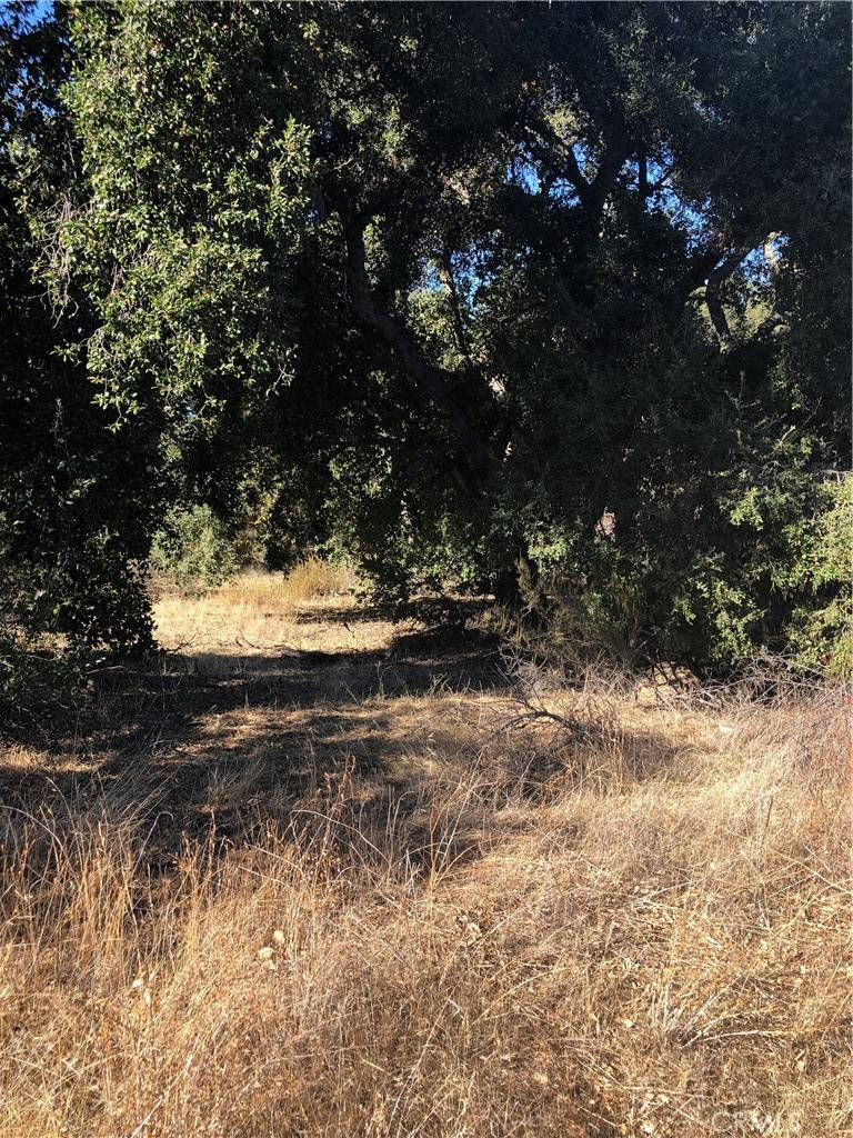 Hemet, CA 92544,4 Red Mountain RD