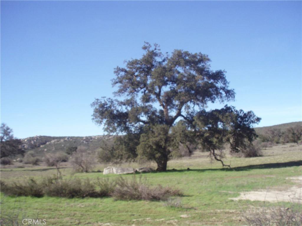 Hemet, CA 92544,53 Willow Canyon RD