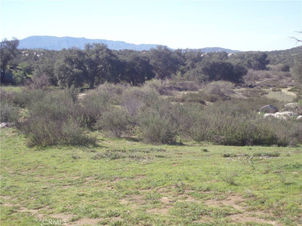 Hemet, CA 92544,53 Willow Canyon RD