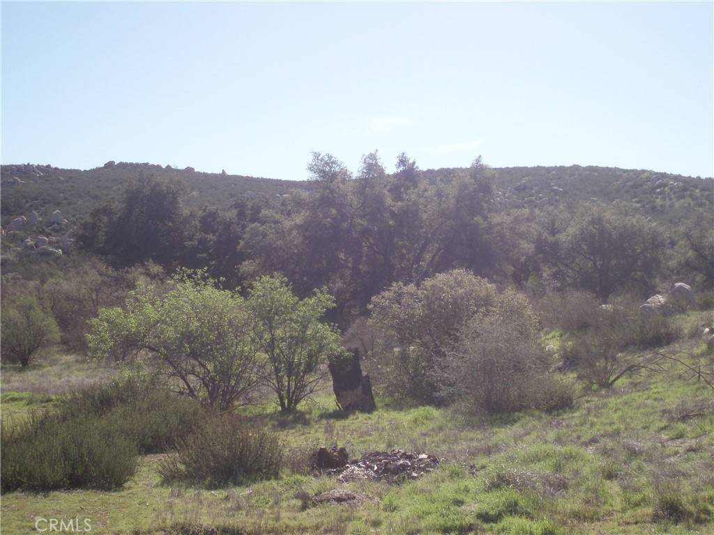 Hemet, CA 92544,53 Willow Canyon RD