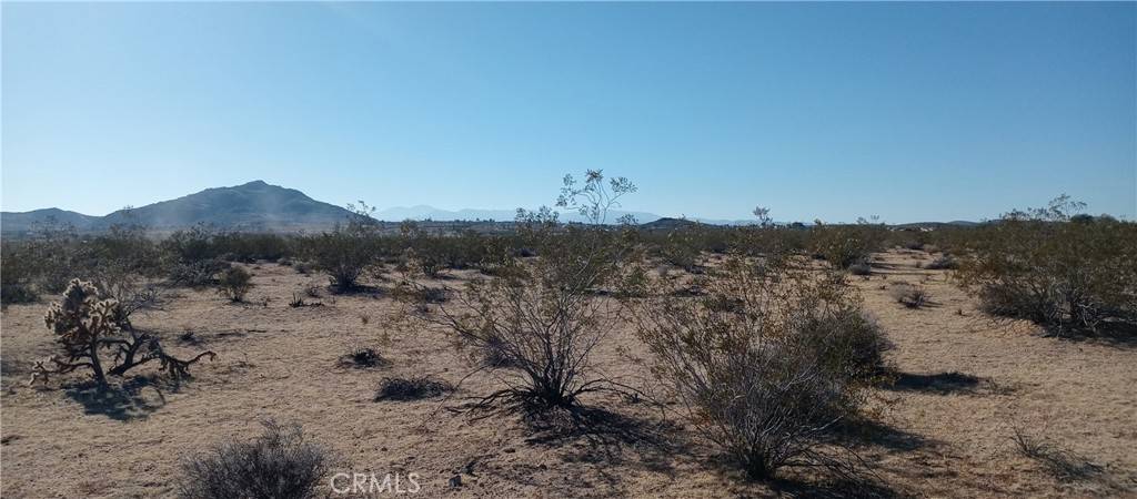 Joshua Tree, CA 92252,0 Highland View Dr