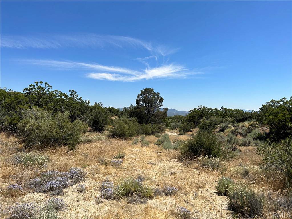 Anza, CA 92539,36725 Penny LN