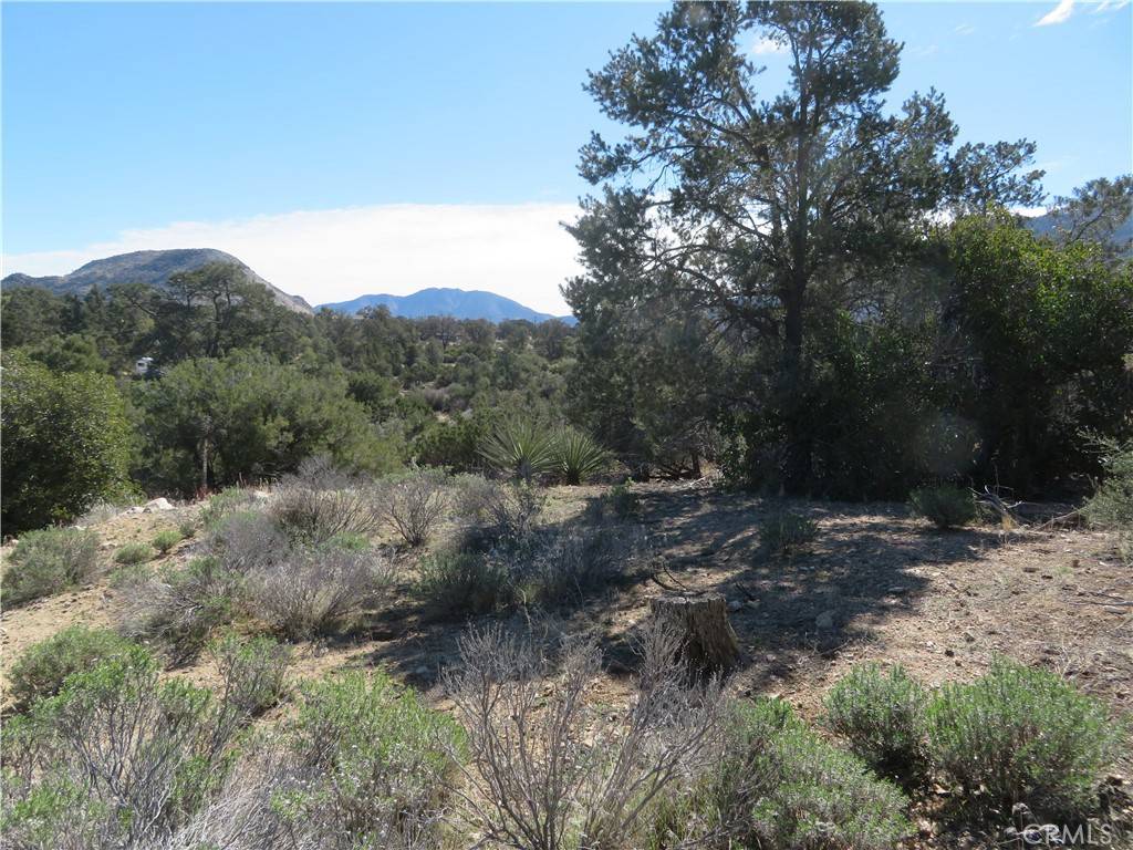 Mountain Center, CA 92561,155 Lot #155 Buckthorn