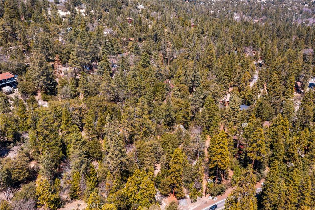 Idyllwild, CA 92549,24610 Highway 243