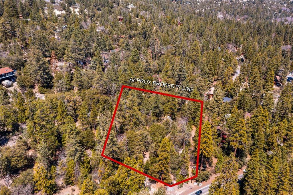 Idyllwild, CA 92549,24610 Highway 243