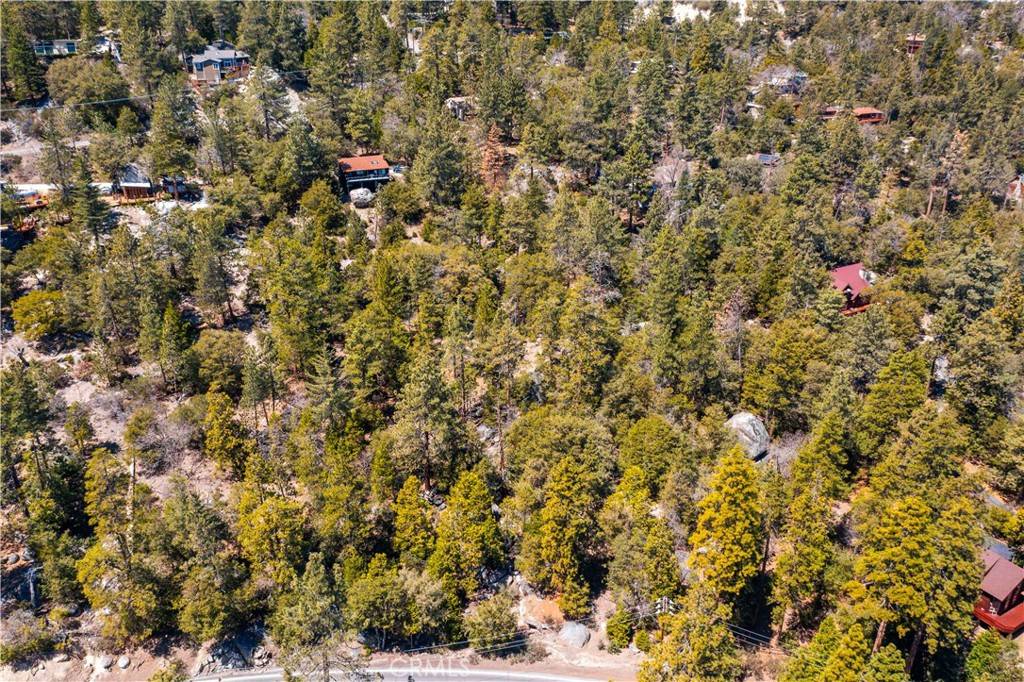 Idyllwild, CA 92549,24610 Highway 243