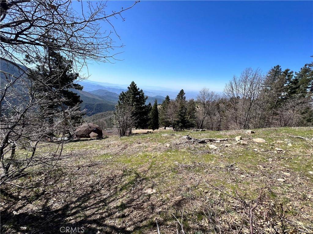 Running Springs, CA 92382,41 Fredalba RD