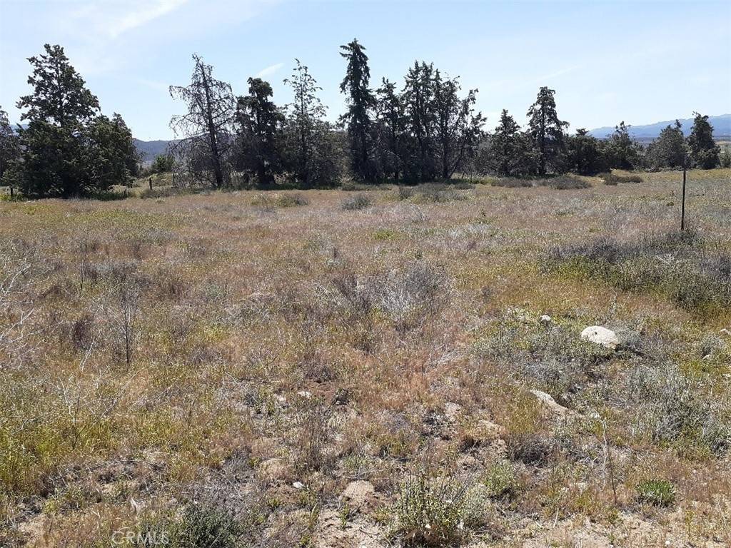 Anza, CA 92539,57215 Mitchell RD