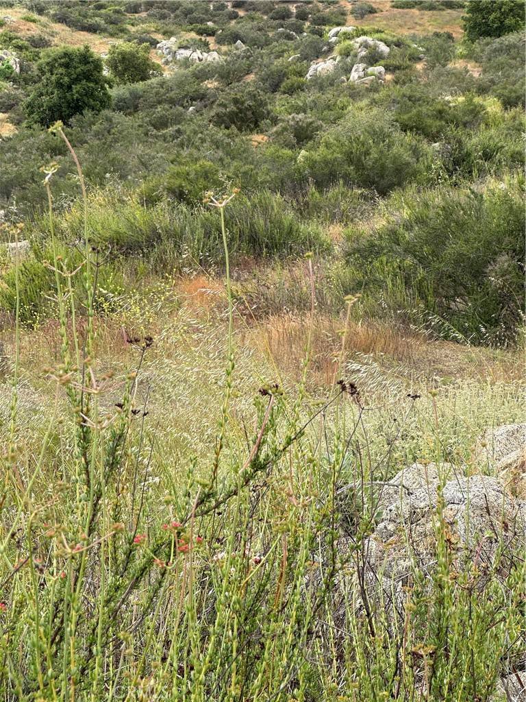 Temecula, CA 92592,0 Voyager Road