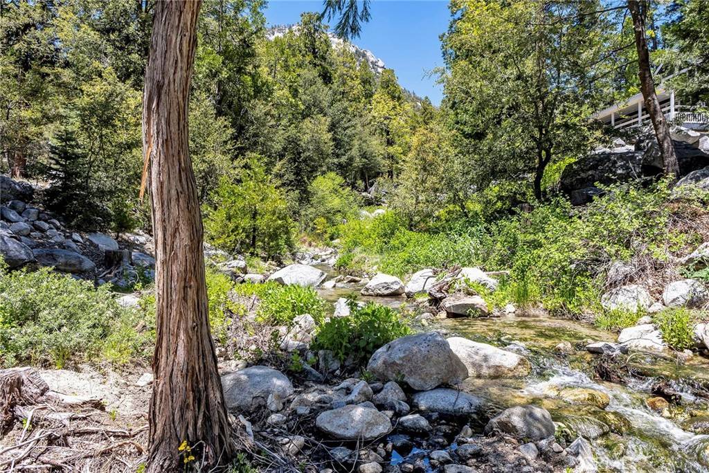 Idyllwild, CA 92549,0 Azalea RD