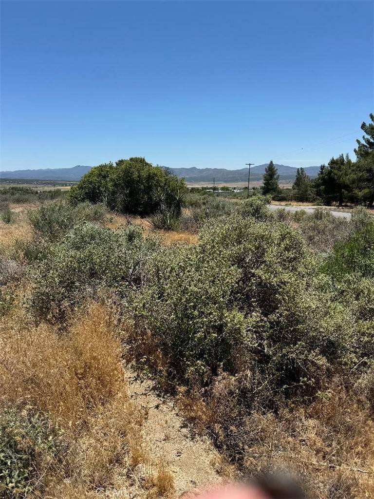 Anza, CA 92539,0 Bohlen RD