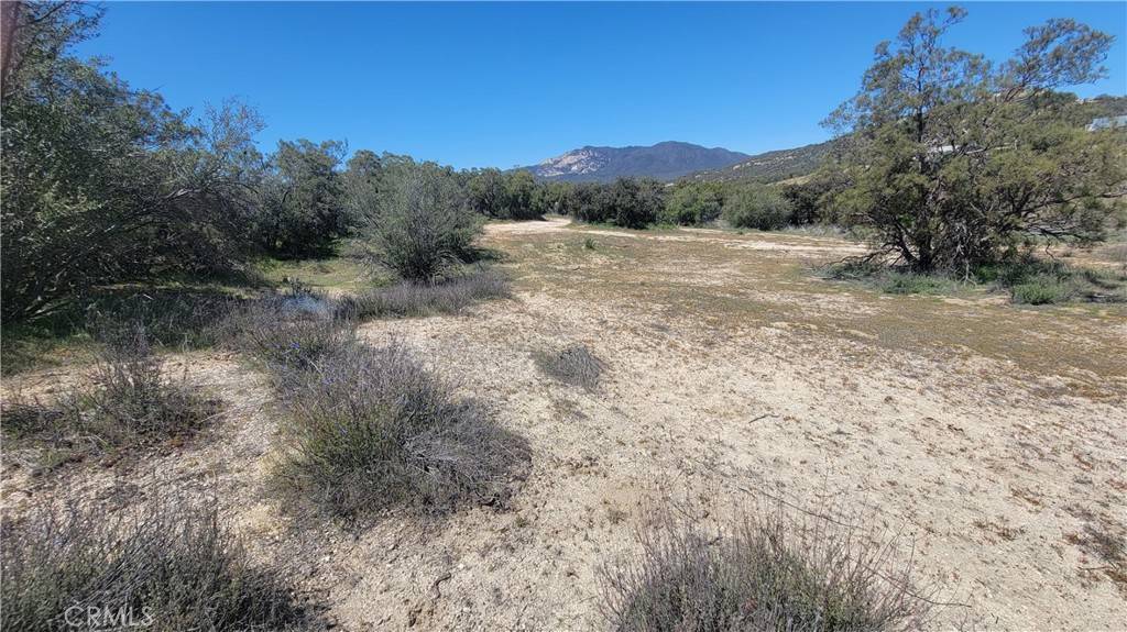 Anza, CA 92539,38289 Fisher RD