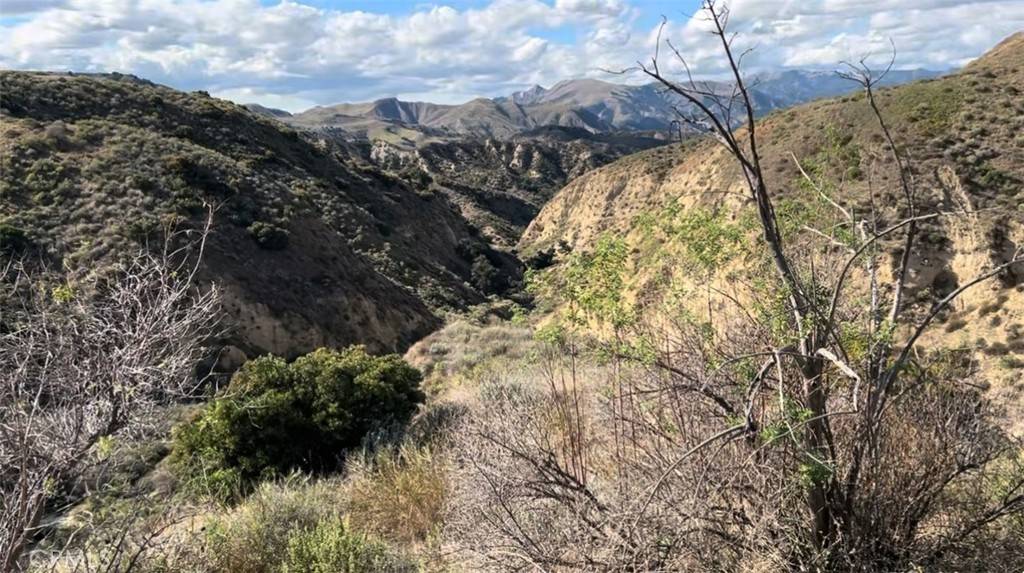Castaic, CA 91384,0 Burlwood DR