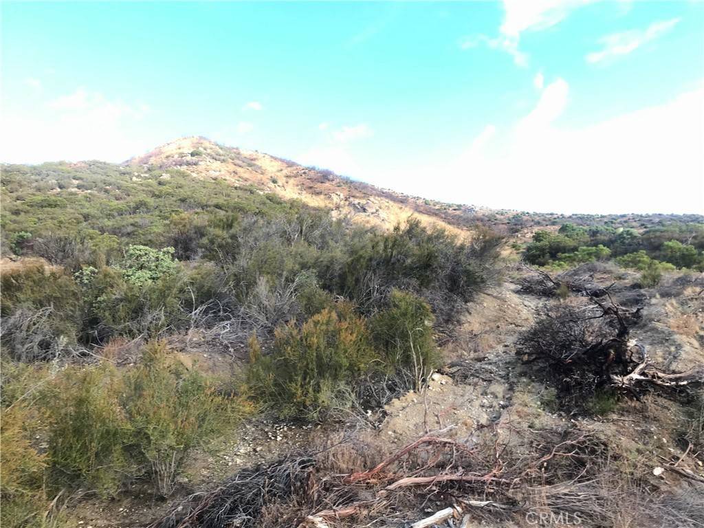 Anza, CA 92539,0 Gully View DR