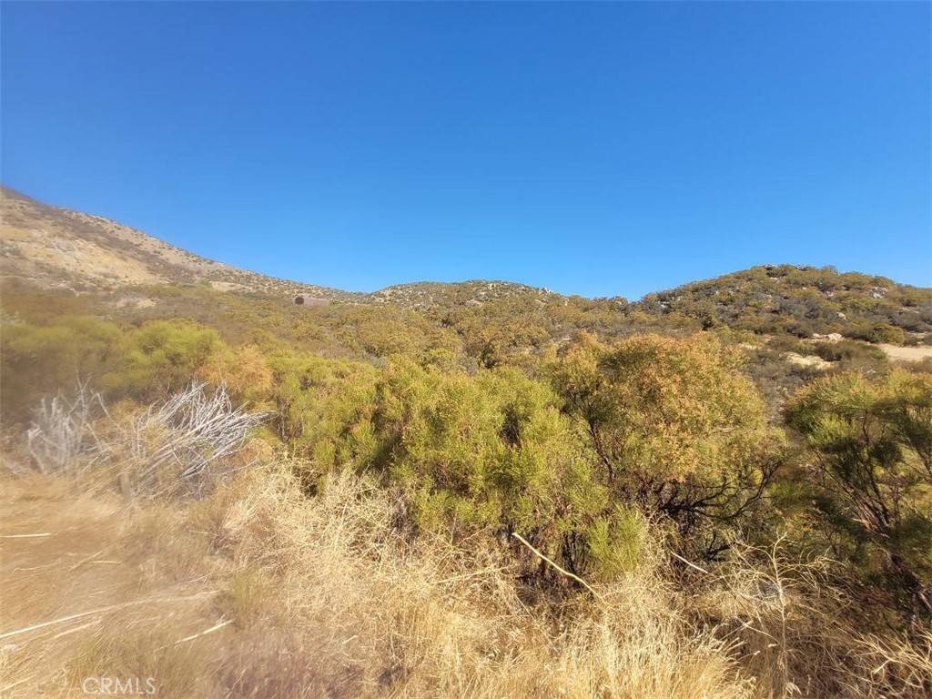 Anza, CA 92539,0 Gulley View