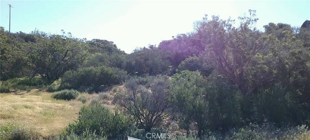 Aguanga, CA 92536,0 Lake Canyon DR