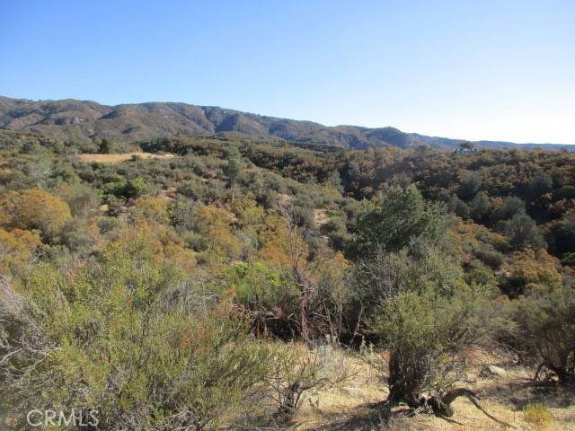 Anza, CA 92539,0 Dickson Hills Rd