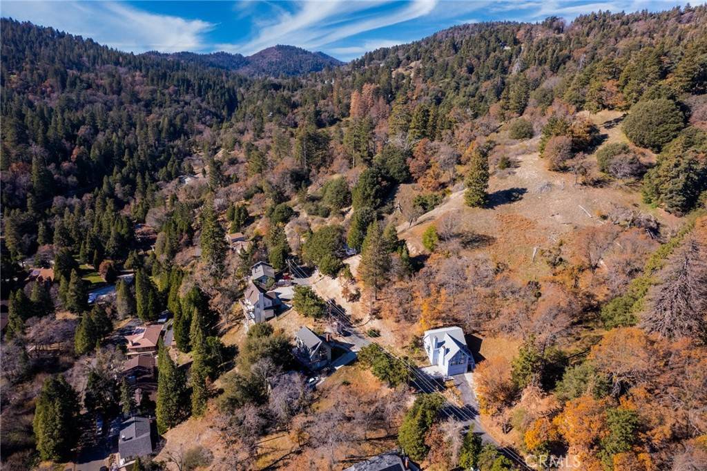 Crestline, CA 92325,0 Briarwood LN