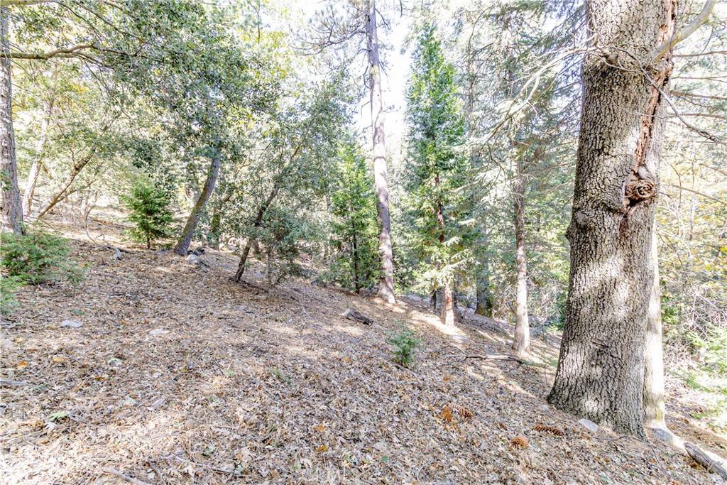 Cedarpines Park, CA 92322,0 Alder Creek Road