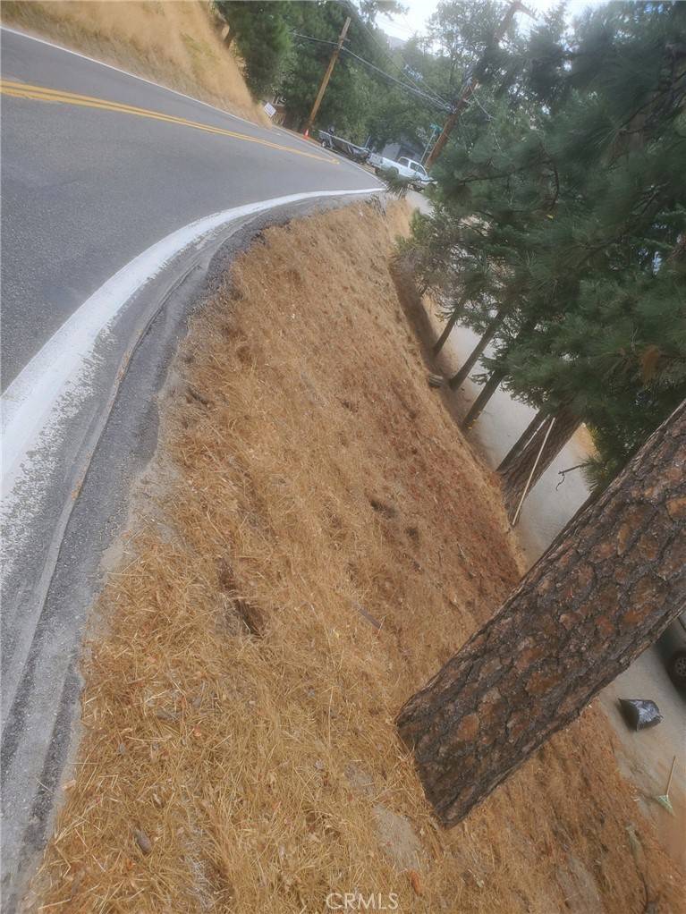 Crestline, CA 92325,709 Arosa DR